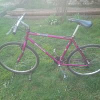 Bici  mountain-bike vintage