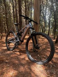 Biciclette elettriche