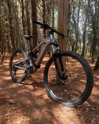 Biciclette elettriche