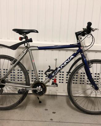 Bicicletta Mountain bike