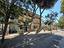 Immagine 21
