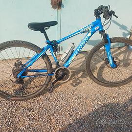 Mtb Brera