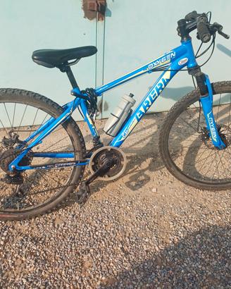 Mtb Brera