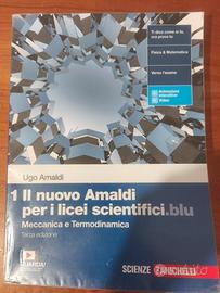 il nuovo Amaldi per i licei scientifici. 