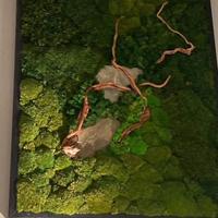 Giardino Verticale Evergreen, Quadro di Design
