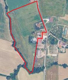 CASA INDIPENDENTE A MARSCIANO