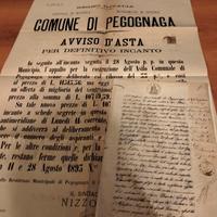 manifesto e documento