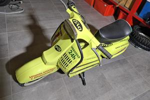 Vespa Elaborata