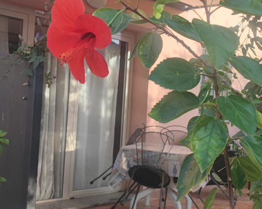 Grazioso bilocale san Teodoro