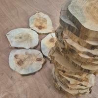 Set 24 fette legno grezzo