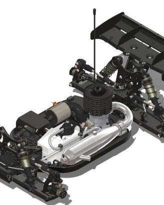 Hot Bodies Modello Buggy 1/8