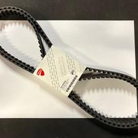 CINGHIE DISTRIBUZIONE ORIGINALI DUCATI 73710101A