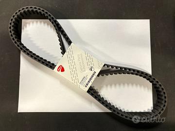 CINGHIE DISTRIBUZIONE ORIGINALI DUCATI 73710101A