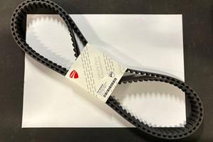 CINGHIE DISTRIBUZIONE ORIGINALI DUCATI 73710101A