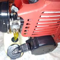 Decespugliatore 43 cc Revisionato