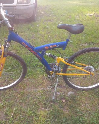  Mountain bike (MTB) ammortizzata