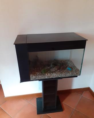 acquario