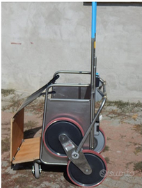 Montascale elettrico per cani con mobilità ridotta