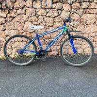 Bicicletta