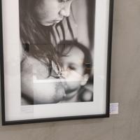 Splendida foto d'autore