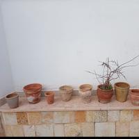 N 8 vasi in terracotta 
