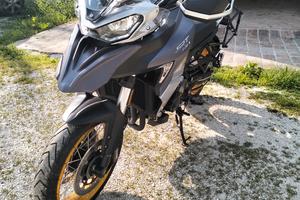 qj motor  800 x prezzo trattabile 