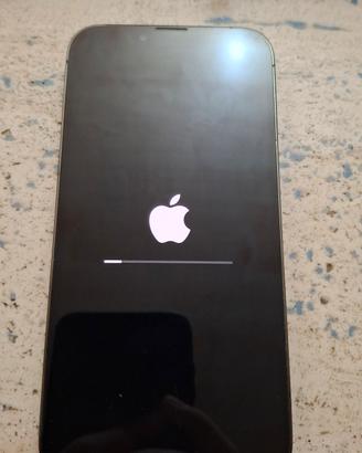 Iphone 13 pro 256GB