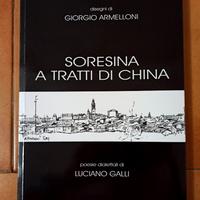 Soresina a tratti di china