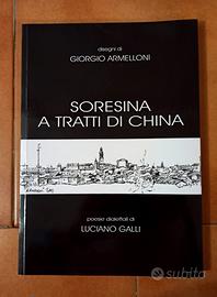 Soresina a tratti di china