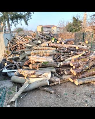 legna mista bosco 