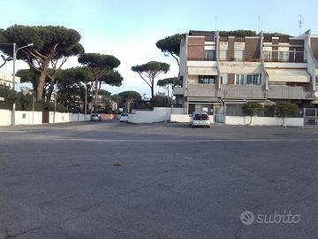 Locale Lavinio (Anzio) viale del Pesco, 53