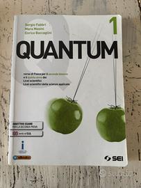 quantum 1