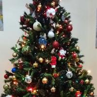 Grande Albero di Natale