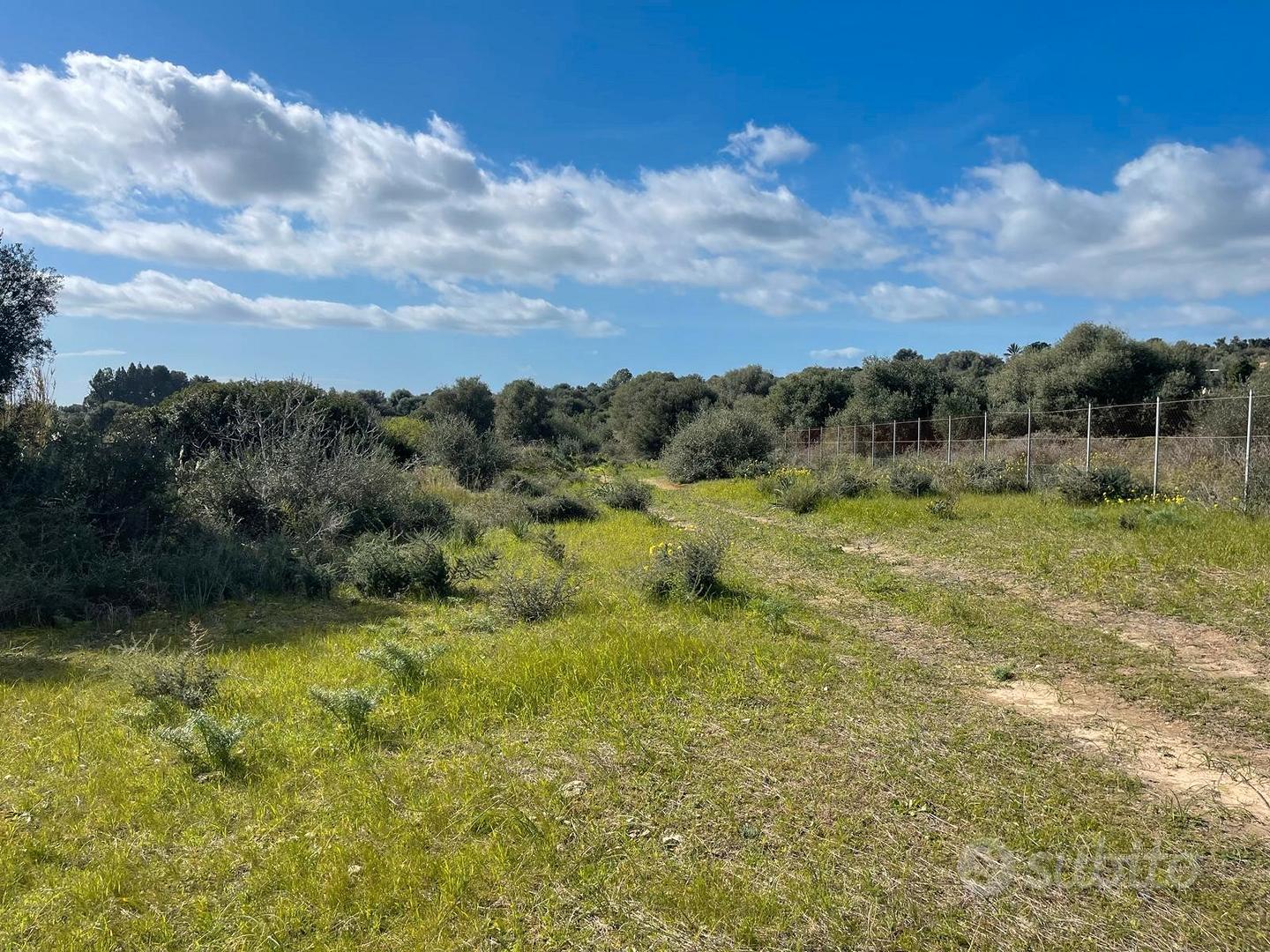 Terreno agricolo pressi Diverland - Vista 3