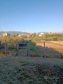 Terreno agricolo