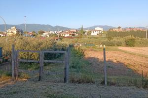 Terreno agricolo