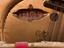 Immagine 6