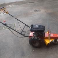 DECESPUGLIATORE A RUOTE BENASSI MD555R