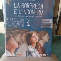 la sorpresa e l'incontro 1