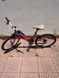 Bicicletta mountain bike Faema
