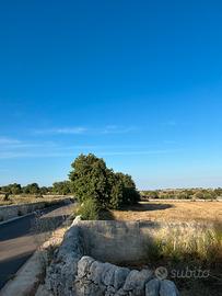 Terreno agricolo con progetto approvato