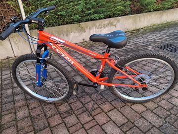 NUOVA Bicicletta MTB Bimbo 24