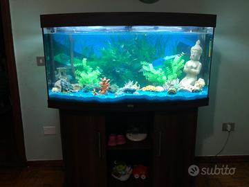 Acquario juwel 260 litri
