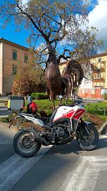 Moto Morini x cape 649 depotenziata guidabile con