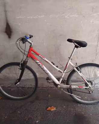Bicicletta 