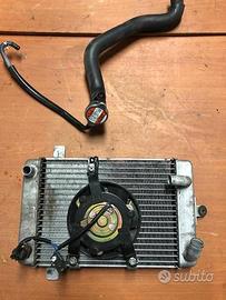 Radiatore con ventola Suzuki Burgman 400 '03-'05