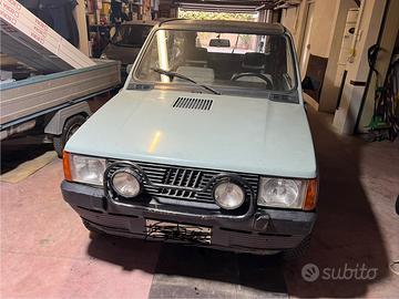 Panda 5000 Esemplari