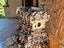 Immagine 2
