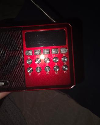 radio speaker 