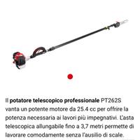 Potatore Telescopico Shindaiwa PT262S